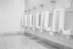 BiOHY WC-Reiniger (6x1l Flasche) | EXTRA STARK | Profi Bio Konzentrat | Dickflüssiges Reinigungs-Gel | Ideal Gegen Urinstein -Geschäft Für Haushaltsreinigung 1d916e3f 8f8f 464a a90d fa6f2e0dd57e