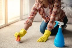 BiOHY Teppichshampoo (10l Kanister) | Teppichreiniger Ideal Zur Entfernung Von Hartnäckigen Flecken | SPEZIELL FÜR WASCHSAUGER ENTWICKELT -Geschäft Für Haushaltsreinigung cec906c6 d4d4 4a6d 8230 a9b9bf5ad6ec