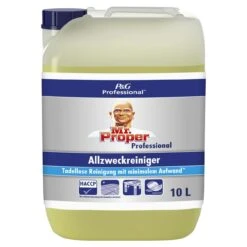 Meister Proper Mehrzweck-Hygienereiniger, 5 L -Geschäft Für Haushaltsreinigung eac242be 1e6a 41b2 91e8 a242bf9adce8